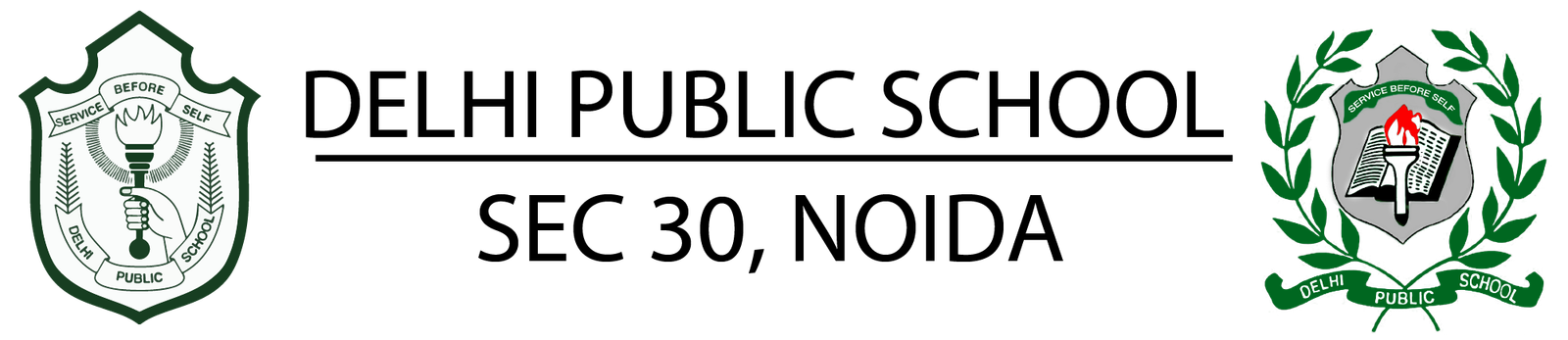 DPSN Logo